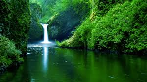 images (15)