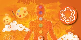 Money Chakras