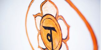 Sacral Chakra