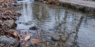Shallow rippling water over pebbles beside brown fallen leaves and gray rocks, with branch reflections and a worn concrete path edge.
