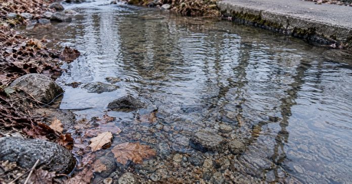Shallow rippling water over pebbles beside brown fallen leaves and gray rocks, with branch reflections and a worn concrete path edge.