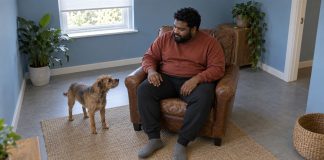 A man in a rust-red sweatshirt sitting in a brown leather armchair and looking toward a small brown terrier on a woven rug in a blue-walled room.
