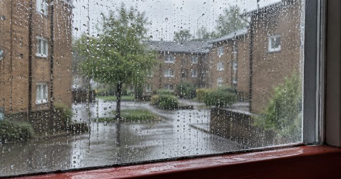 2709 realistic rainy window 20261005 Raindrops on a window above a red sill, with a leafy tree and brick courtyard beyond the glass.