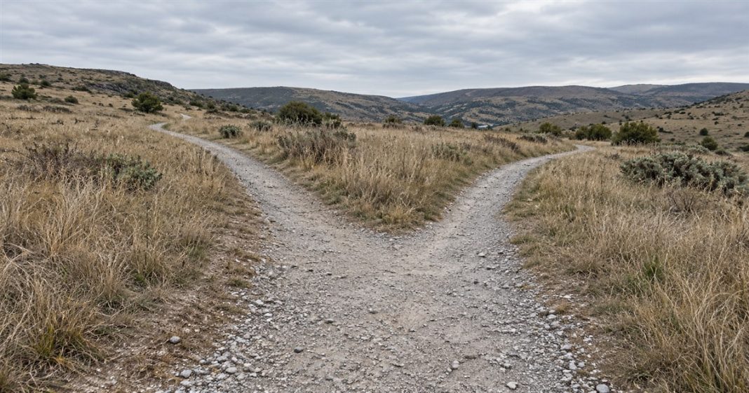 Gravel footpath dividing into two routes through dry grassland beneath an overcast sky.