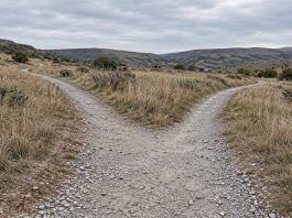 Gravel footpath dividing into two routes through dry grassland beneath an overcast sky.