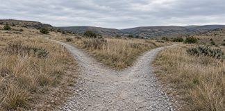 Gravel footpath dividing into two routes through dry grassland beneath an overcast sky.