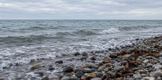 Small waves washing onto a pebble shore with brown seaweed beneath a cloudy sky