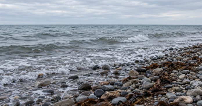 Life On the Other Side — realistic pebble shore cover 20261004 Small waves washing onto a pebble shore with brown seaweed beneath a cloudy sky