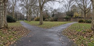 An asphalt path divides into two routes among bare trees and fallen autumn leaves.