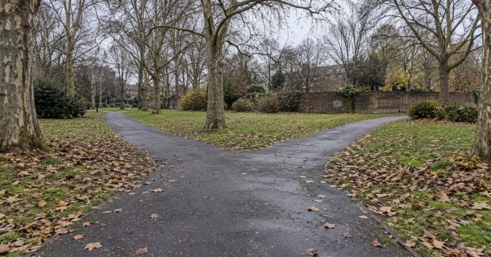 An asphalt path divides into two routes among bare trees and fallen autumn leaves.