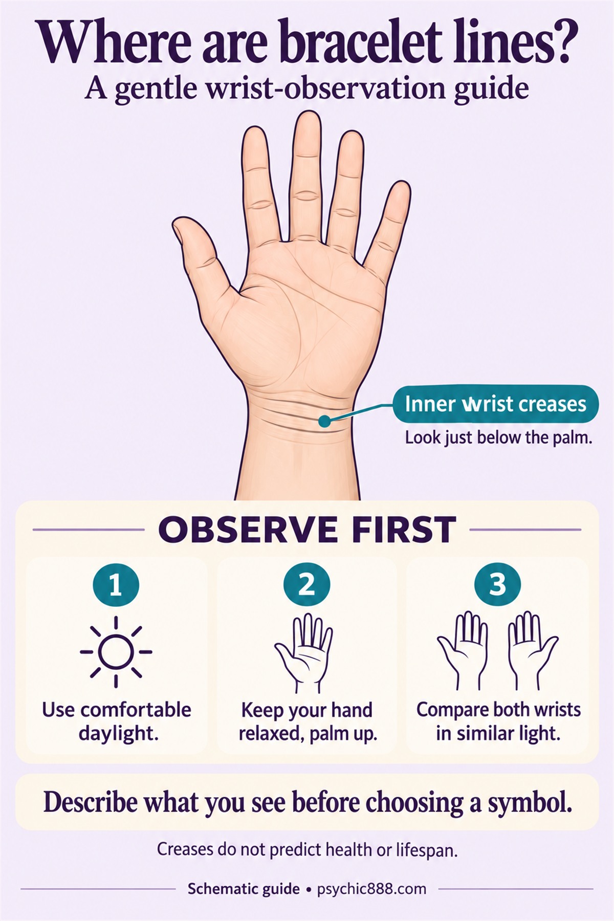 Schematic palm-up hand with an arrow pointing to inner wrist creases below the palm; observe in daylight, keep the hand relaxed, and compare wrists in similar light. Creases do not predict health or lifespan.
